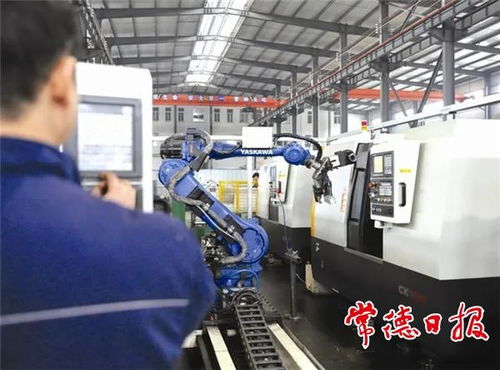 引金融活水，潤產(chǎn)業(yè)之花——常德財(cái)政推動非融資性擔(dān)保服務(wù)高質(zhì)量發(fā)展